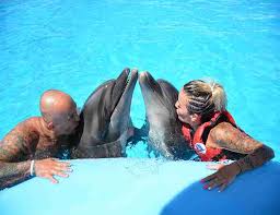 Delfinshow Hurghada