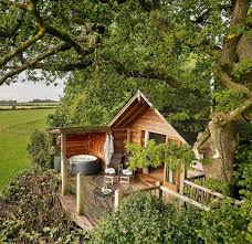Woodland Glamping Retreat for Nature Immersion